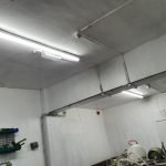 Cellar Lights