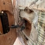 Old wiring deterioration